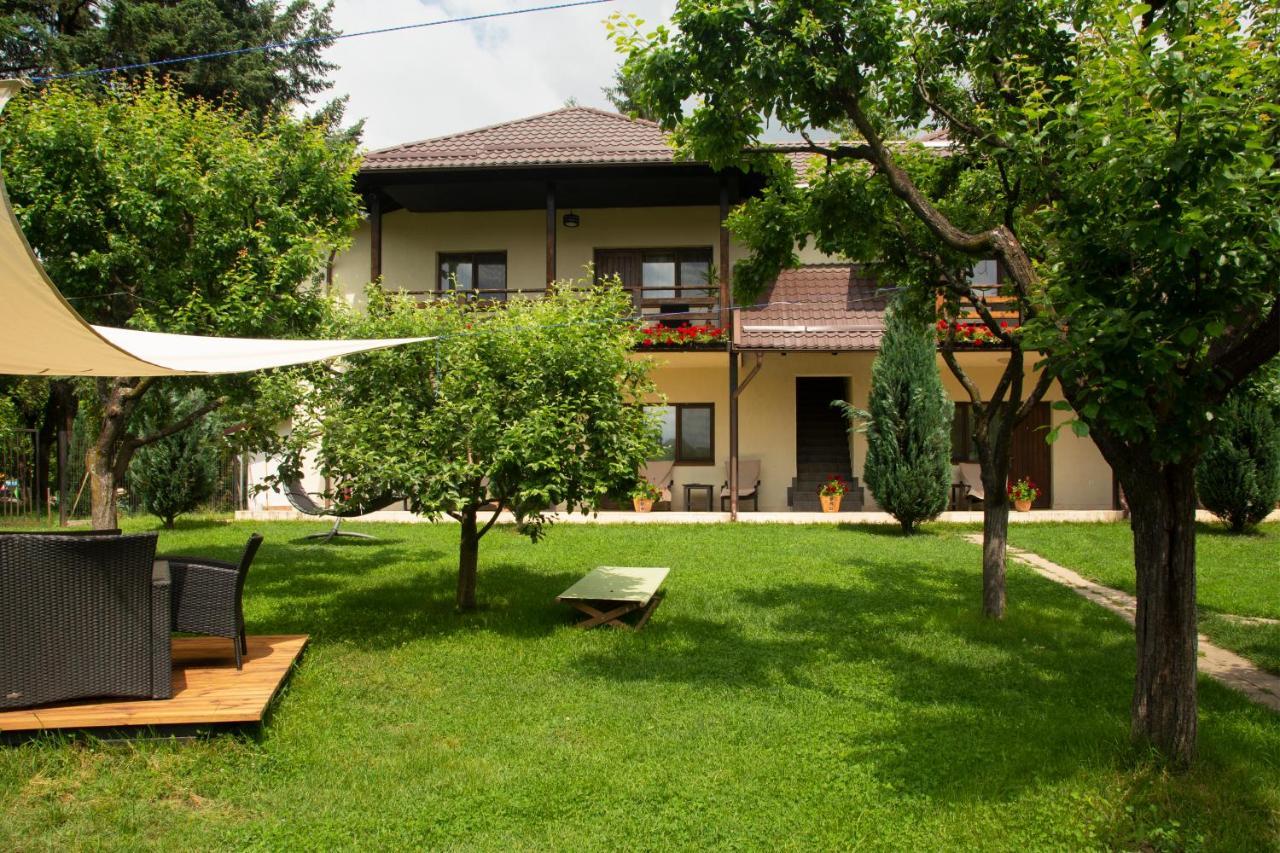 Pension Andra'S House Horezu Exterior photo