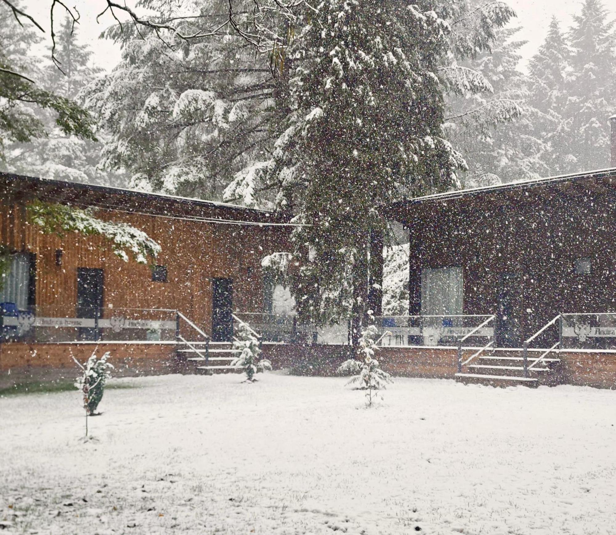 Pension Andra'S House Horezu Exterior photo